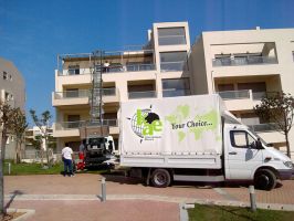 cheap removals athens Kae International Movers